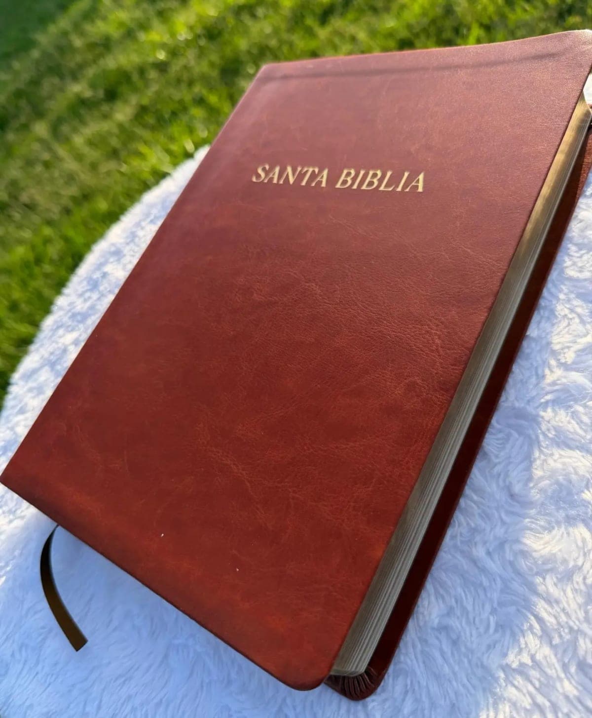Santa Biblia de cubierta marrón con cinta marcapáginas
