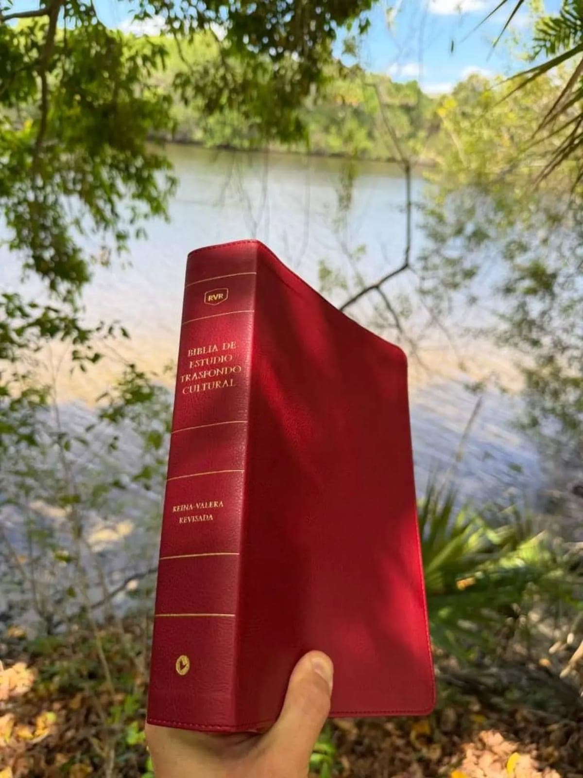 Biblia de Estudio Trasfondo Cultural de cubierta roja frente a un río
